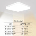 Guérip Pure Frame LED Ceiling Light