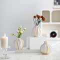 Guérip Cute Bud Vase for Dried Flowers Pampas Grass